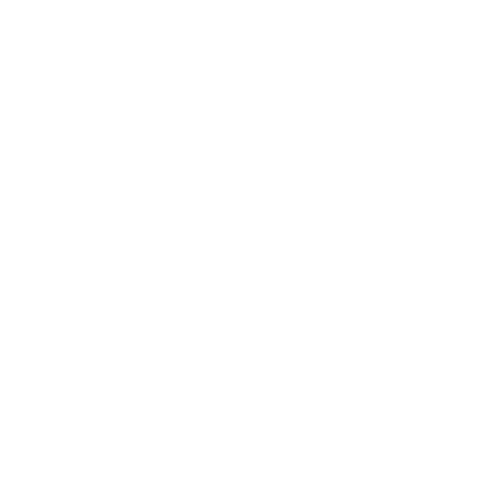 nimble_asset_icon-AS5