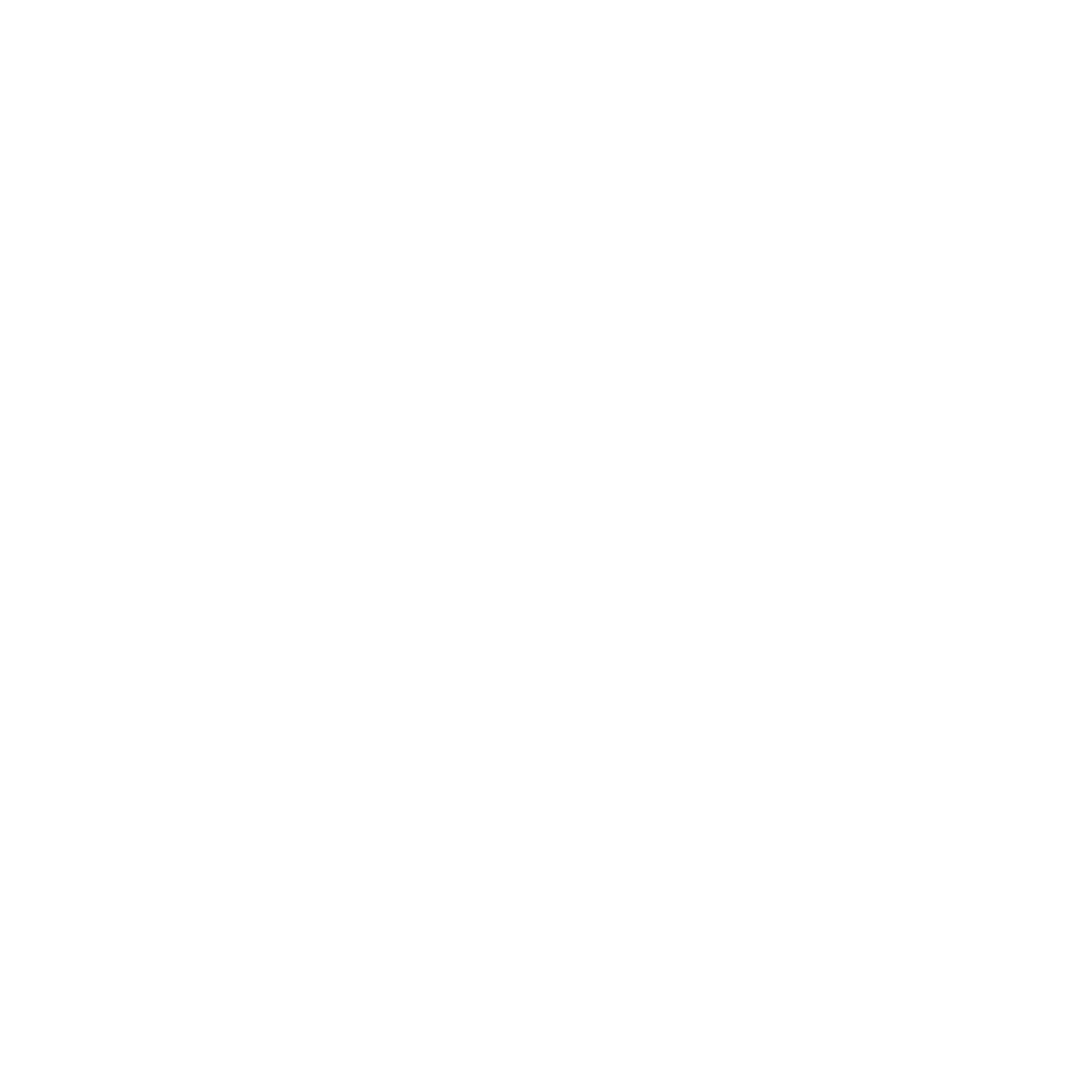 nimble_asset_icon-AS6